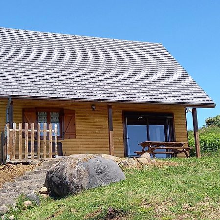 Chalet Sancy Saint-Genès-Champespe Buitenkant foto